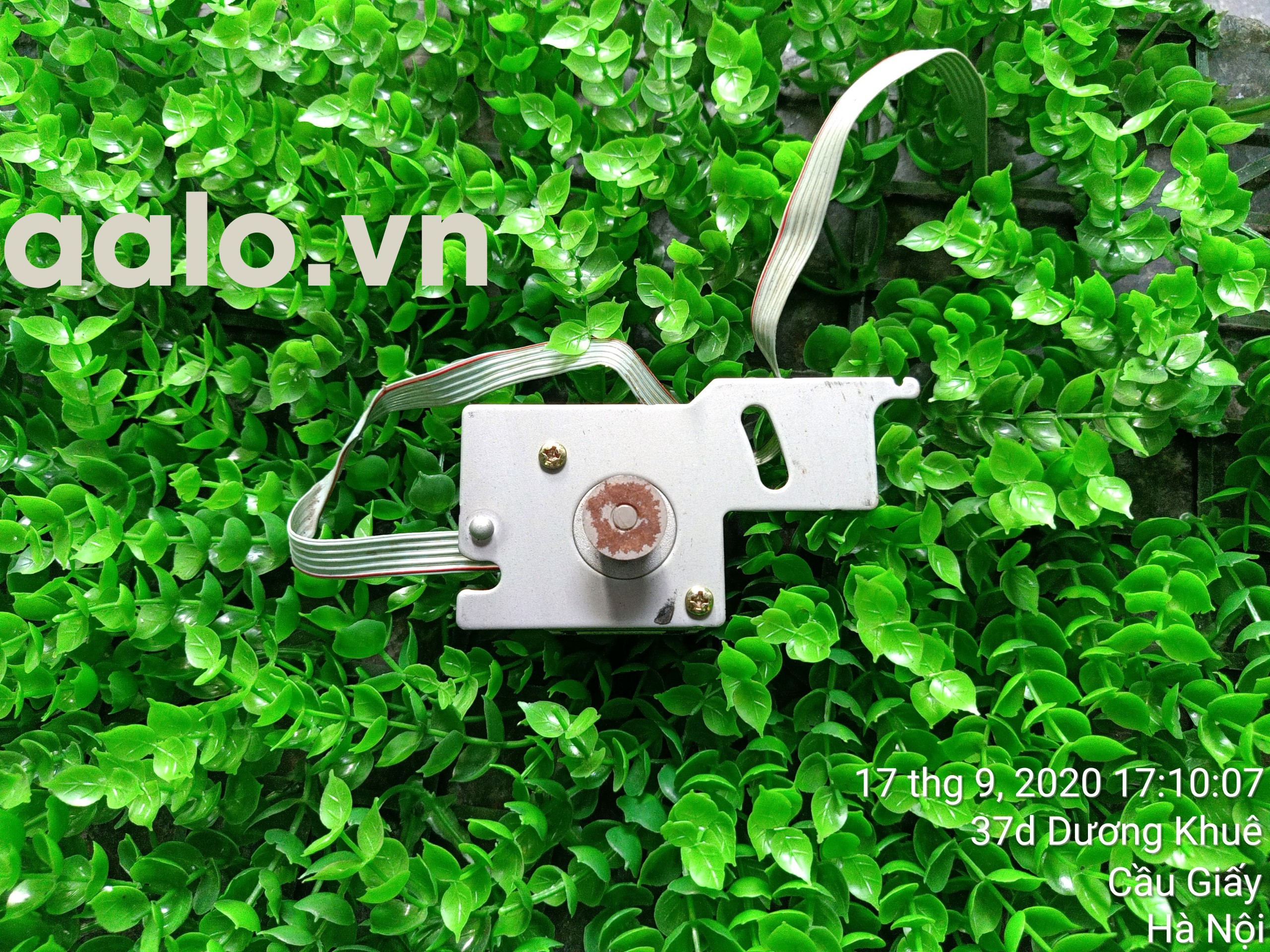 Mô tơ Máy in kim Epson LQ 2170 Máy in Kim A3 - aalo.vn